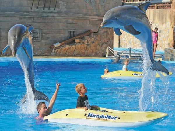 Vacanza Complex بينايدورم المظهر الخارجي الصورة